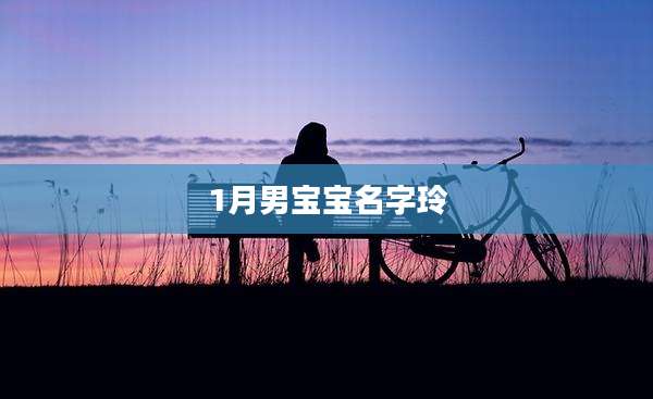 1月男宝宝名字玲