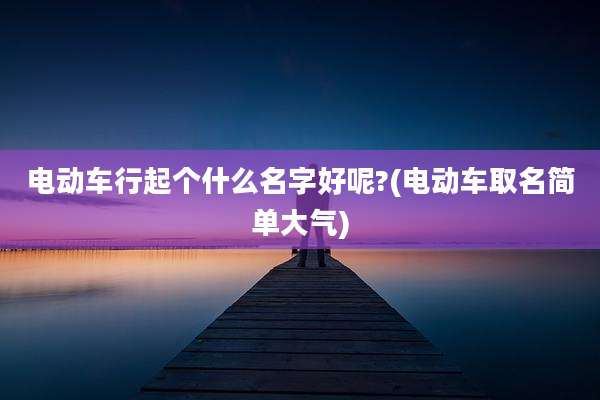 电动车行起个什么名字好呢?(电动车取名简单大气)