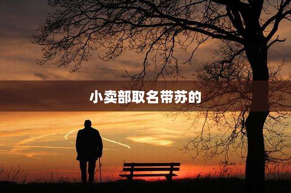 小卖部取名带苏的
