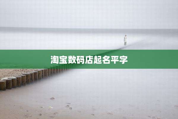 淘宝数码店起名平字