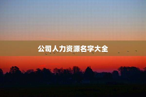 公司人力资源名字大全