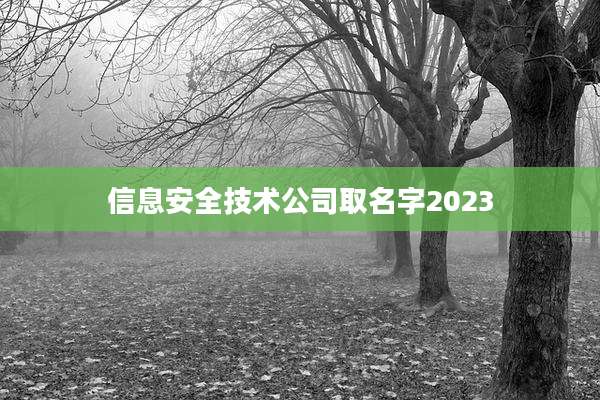 信息安全技术公司取名字2023
