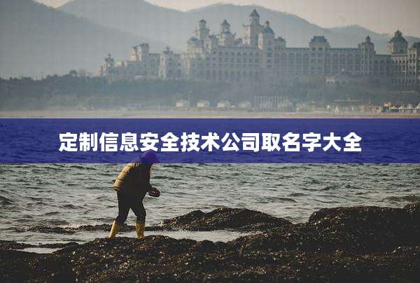 定制信息安全技术公司取名字大全