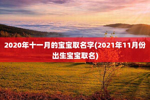 2020年十一月的宝宝取名字(2021年11月份出生宝宝取名)