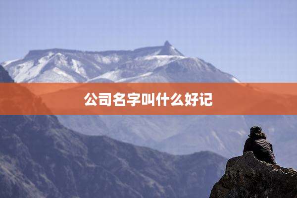 公司名字叫什么好记