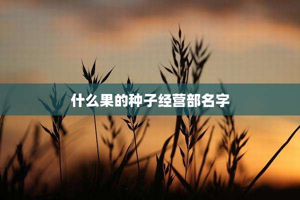 什么果的种子经营部名字