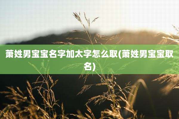 萧姓男宝宝名字加太字怎么取(萧姓男宝宝取名)