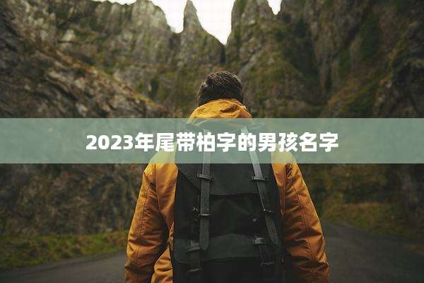 2023年尾带柏字的男孩名字