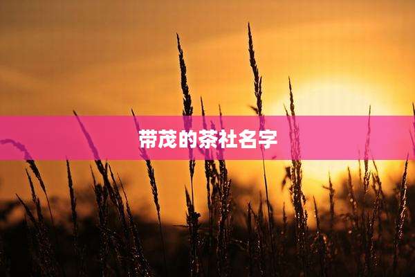 带茂的茶社名字