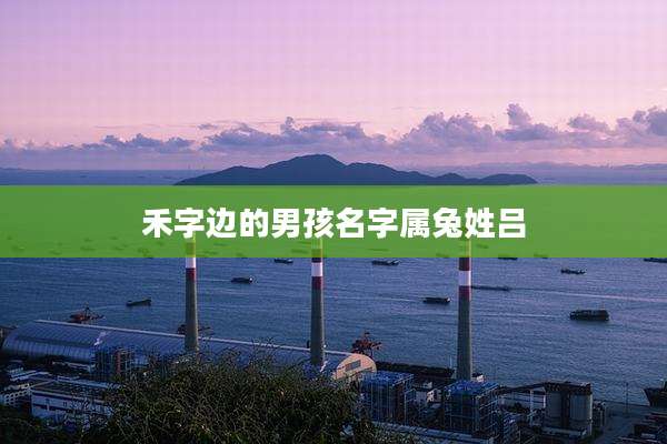 禾字边的男孩名字属兔姓吕