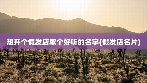 想开个假发店取个好听的名字(假发店名片)