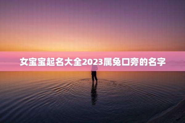 女宝宝起名大全2023属兔口旁的名字