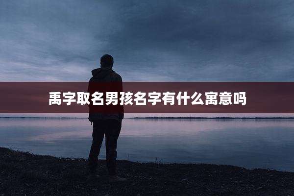 禹字取名男孩名字有什么寓意吗