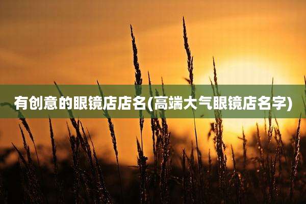 有创意的眼镜店店名(高端大气眼镜店名字)