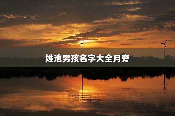 姓池男孩名字大全月旁