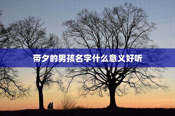 带夕的男孩名字什么意义好听