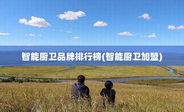 智能厨卫品牌排行榜(智能厨卫加盟)