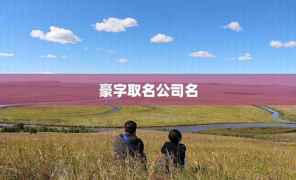 豪字取名公司名