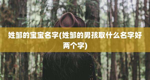 姓邹的宝宝名字(姓邹的男孩取什么名字好两个字)