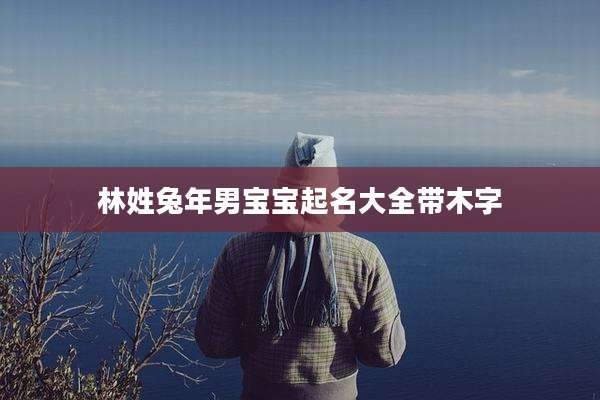 林姓兔年男宝宝起名大全带木字