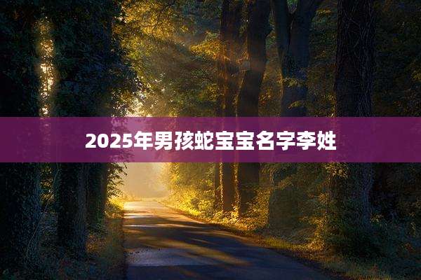 2025年男孩蛇宝宝名字李姓