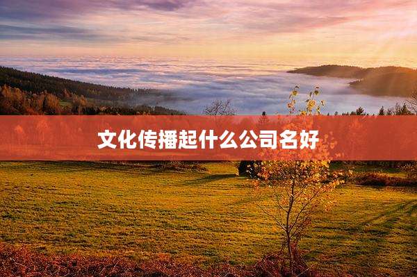 文化传播起什么公司名好