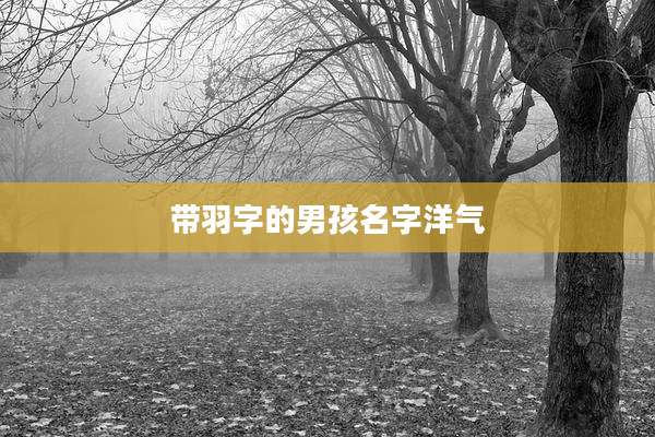 带羽字的男孩名字洋气