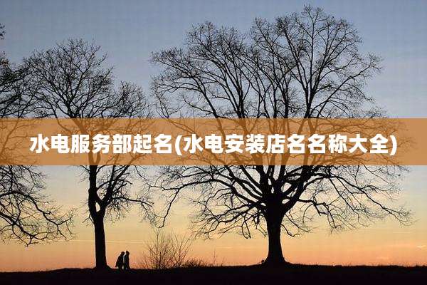 水电服务部起名(水电安装店名名称大全)