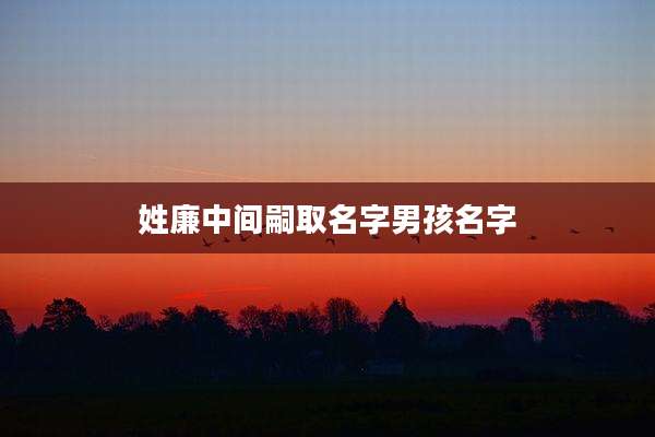 姓廉中间嗣取名字男孩名字