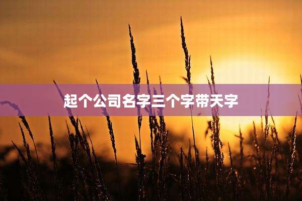 起个公司名字三个字带天字