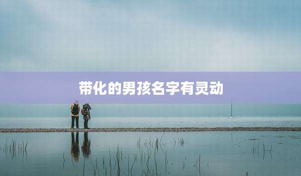 带化的男孩名字有灵动