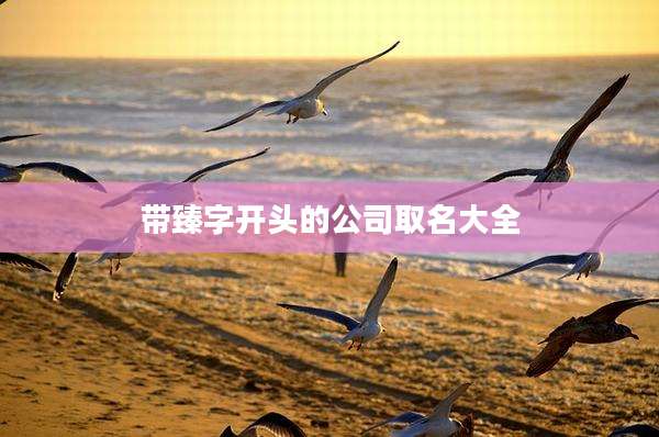带臻字开头的公司取名大全