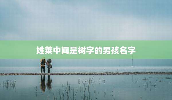 姓莱中间是树字的男孩名字