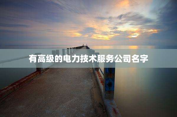 有高级的电力技术服务公司名字