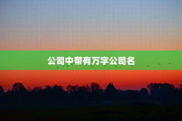 公司中带有万字公司名