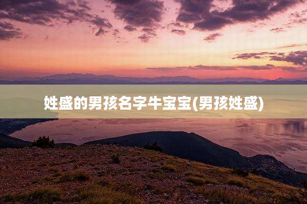 姓盛的男孩名字牛宝宝(男孩姓盛)