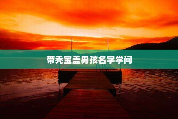 带秃宝盖男孩名字学问