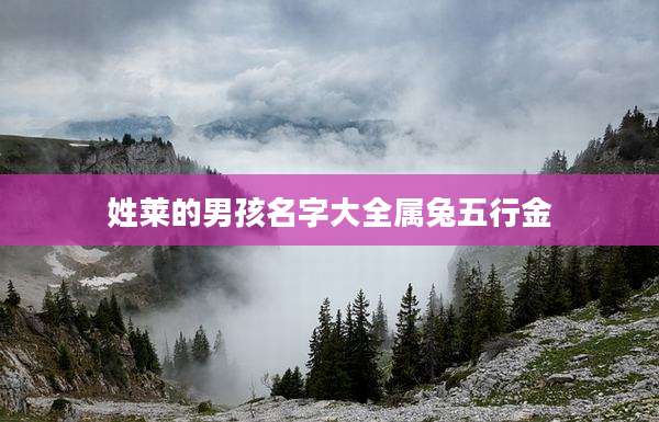姓莱的男孩名字大全属兔五行金