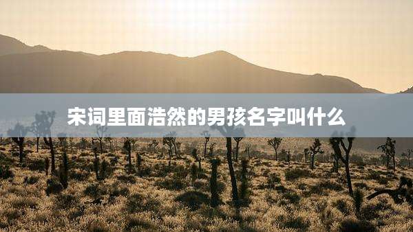 宋词里面浩然的男孩名字叫什么
