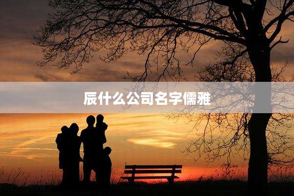 辰什么公司名字儒雅