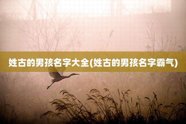 姓古的男孩名字大全(姓古的男孩名字霸气)