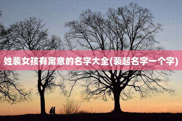 姓裴女孩有寓意的名字大全(裴起名字一个字)