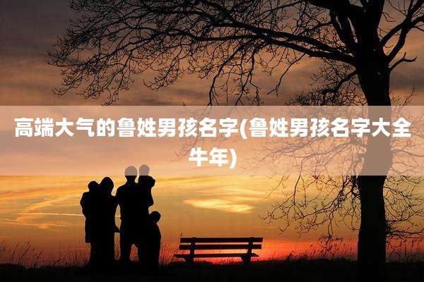 高端大气的鲁姓男孩名字(鲁姓男孩名字大全牛年)