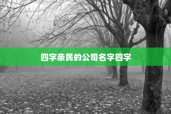 四字亲民的公司名字四字