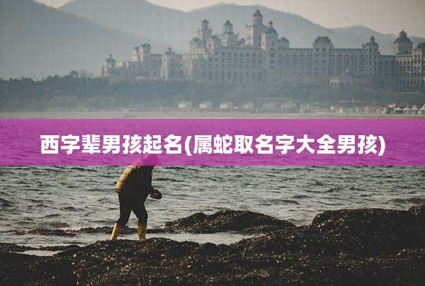 西字辈男孩起名(属蛇取名字大全男孩)