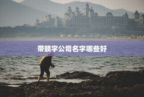 带颐字公司名字哪些好