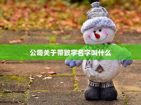公司关于带致字名字叫什么