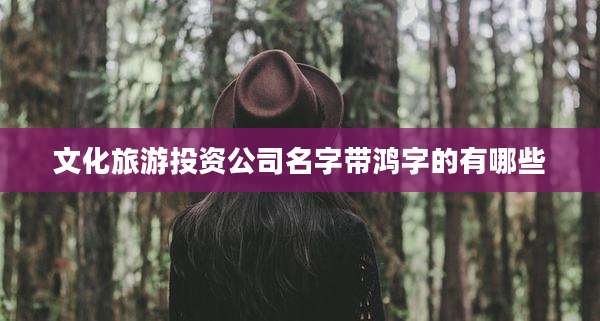 文化旅游投资公司名字带鸿字的有哪些