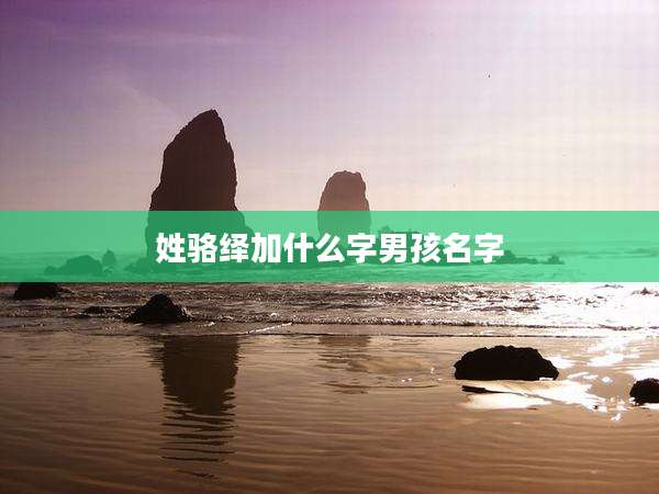 姓骆绎加什么字男孩名字