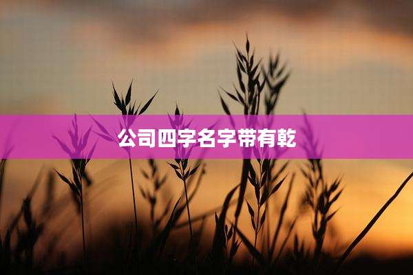 公司四字名字带有乾